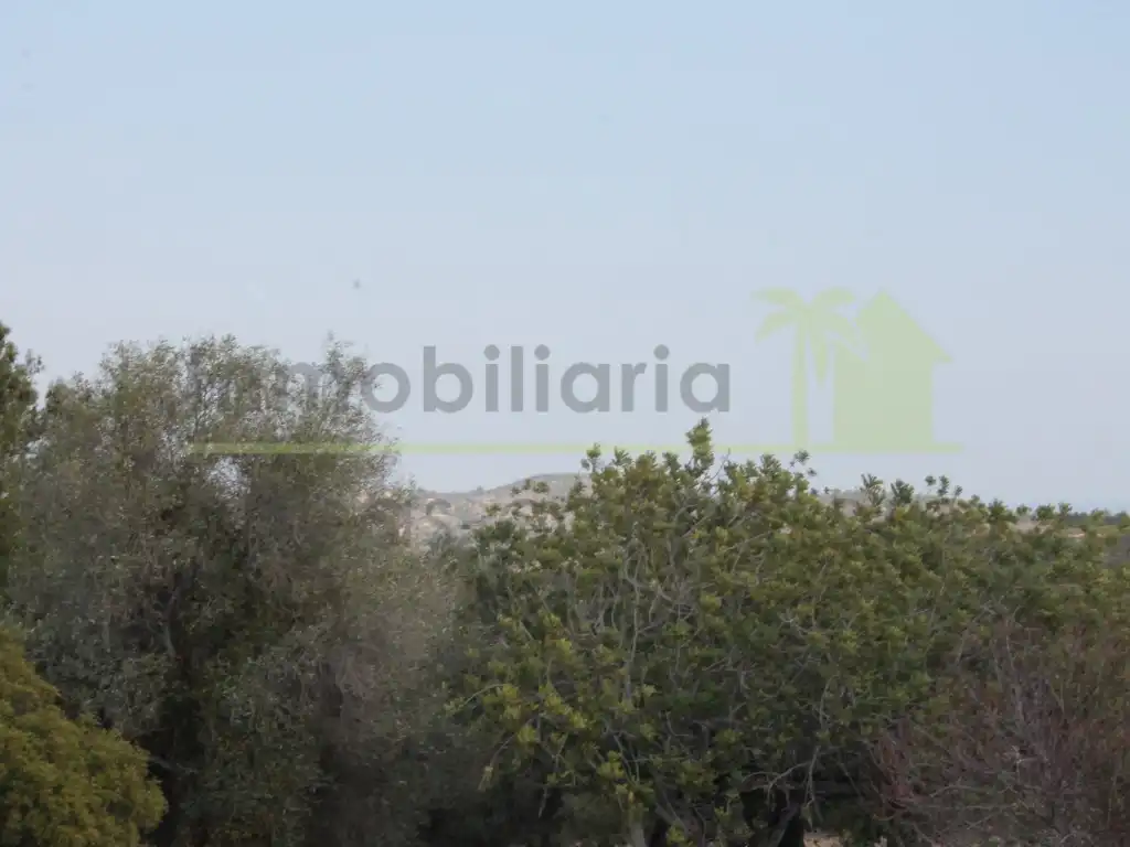 Rural land for sale in Poligono Poligono 50, imagen 7