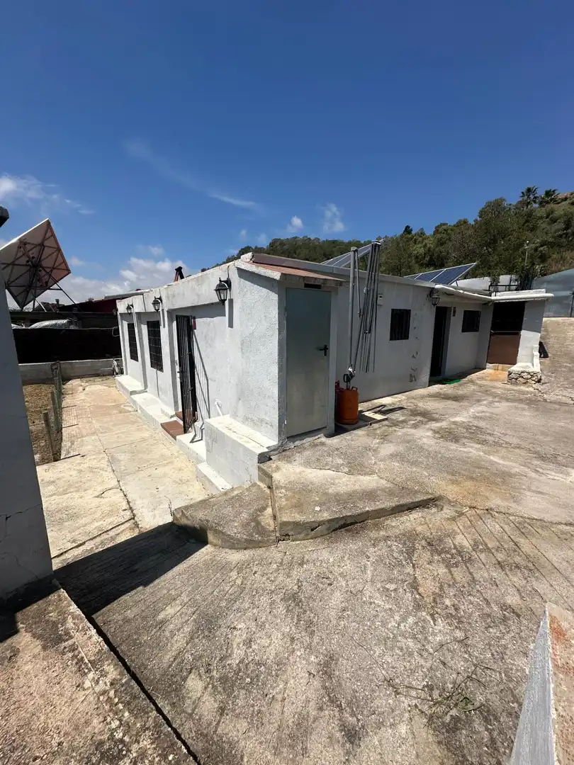 Exterior view of Houses for sale in Sant Pere de Ribes  with Heating and Private garden