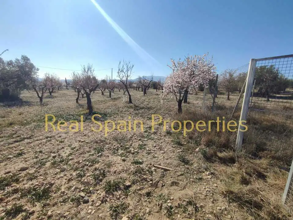 Terrenos y solares en venta en Vélez-Blanco, imagen 7