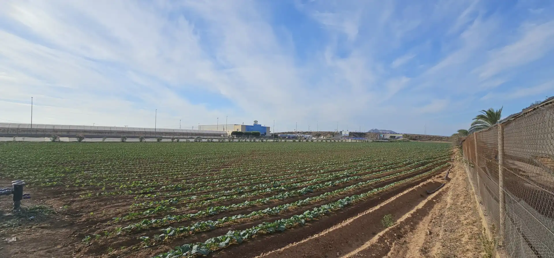 Außenansicht von Grundstücke zum Verkauf in San Javier