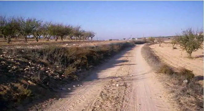 Rural land for sale in PL 20, imagen 6