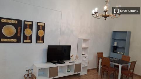 Foto 2 de Apartamento para compartir en Alameda - Mentidero - Teatro Falla,  Cádiz Capital