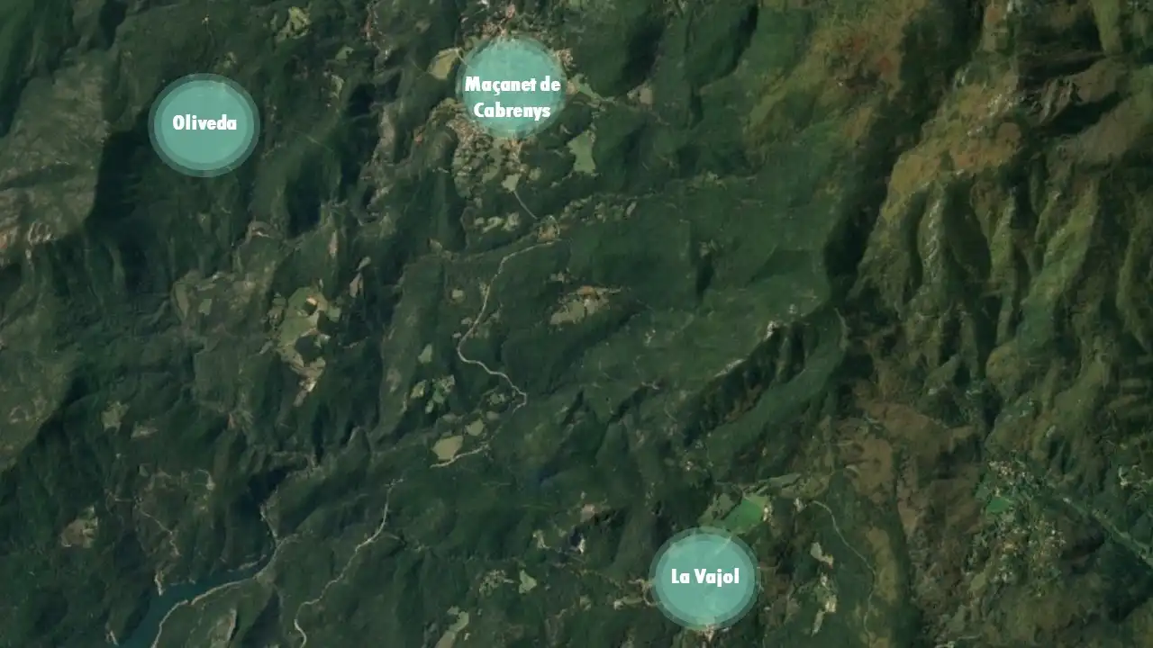 Rural land for sale in C/ Dels Vinyers, imagen 5