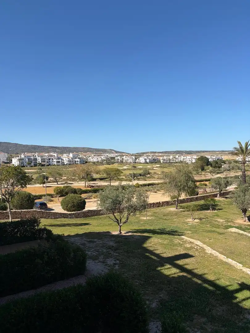 Apartament amb terrassa de lloguer a Calle HACIENDA RIQUELME VIAL C 8, imagen 2