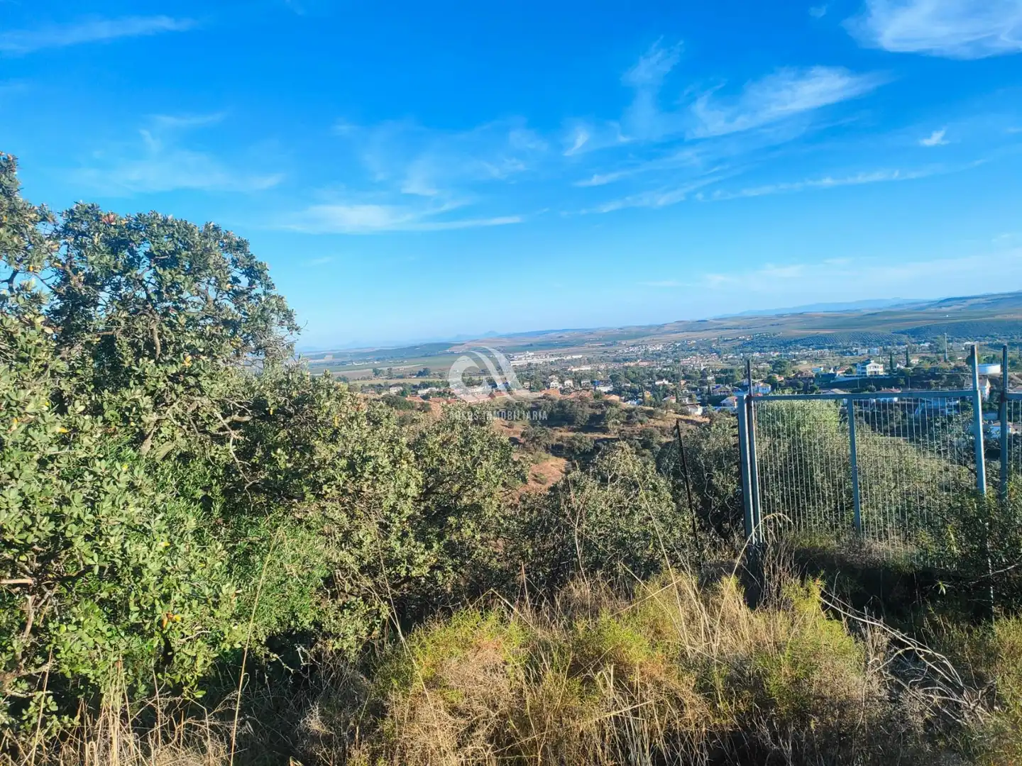 Residencial de alquiler en Alcolea