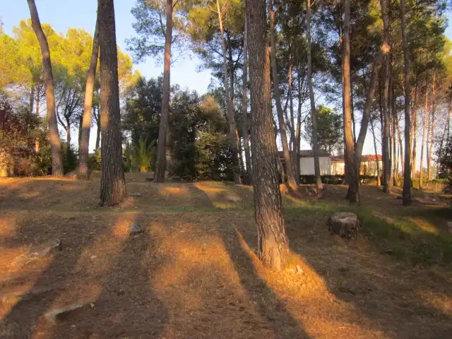 Finca rústica en venta en Castellar del Vallès con Jardín privado, Terraza y Piscina