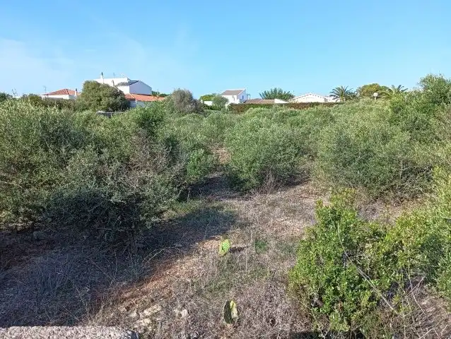 Wohnbaugrundstück zum Verkauf in Ciutadella, imagen 2