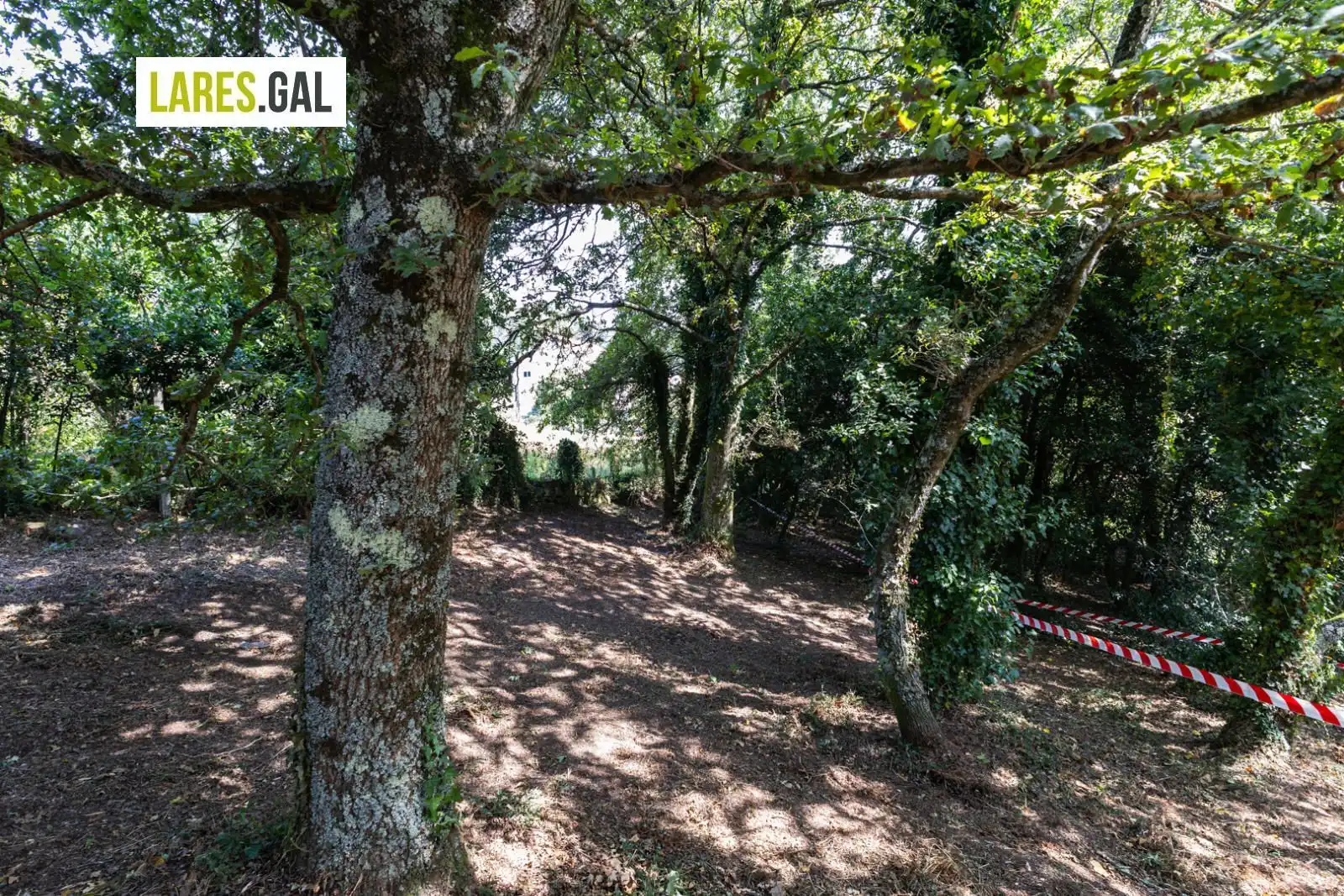 Residential land for sale in Rúa Estrada Herbello a Magdalena, imagen 24