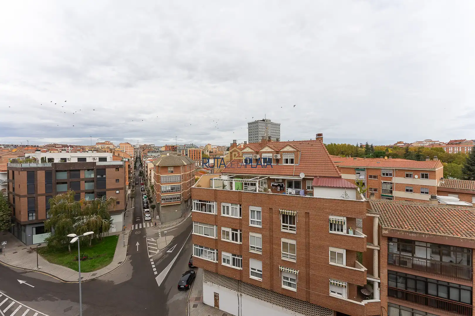 Pis amb terrassa de lloguer a Calle Candelaria Ruiz del Árbol 31, imagen 15