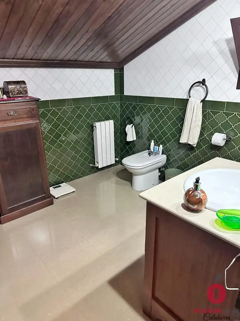 Bany de Casa o xalet en venda en Córdoba amb Aire condicionat, Jardí privat i Terrassa