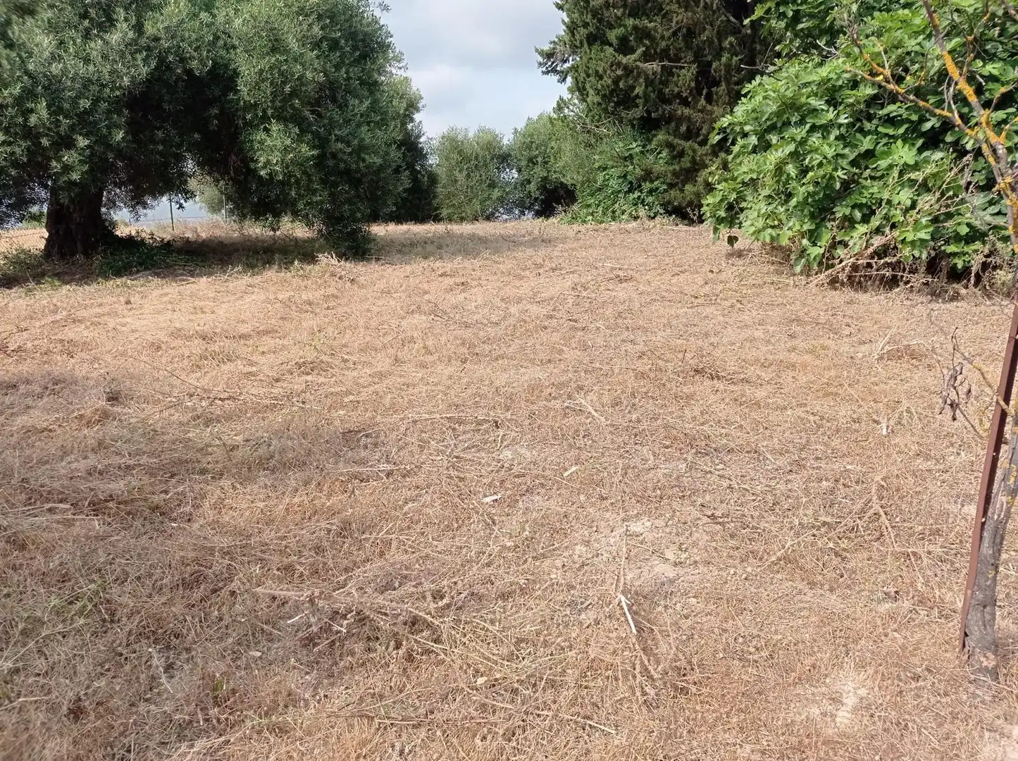 Terreno en venta en Arcos de la Frontera