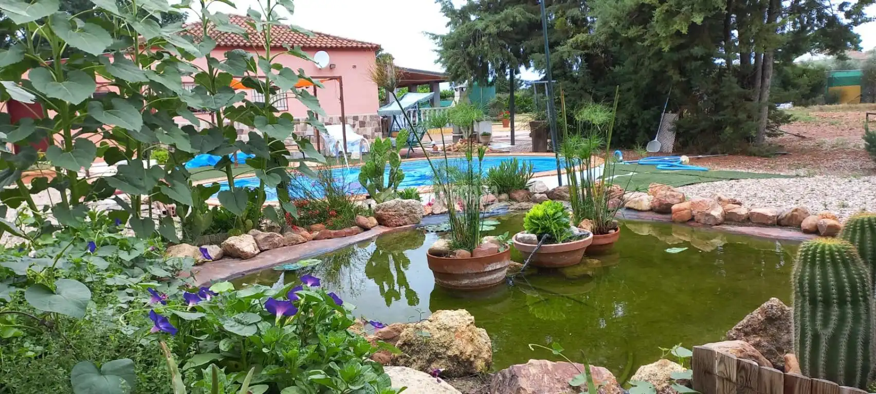 Finca rústica en venta en Camino del Asno, Pedro Abad