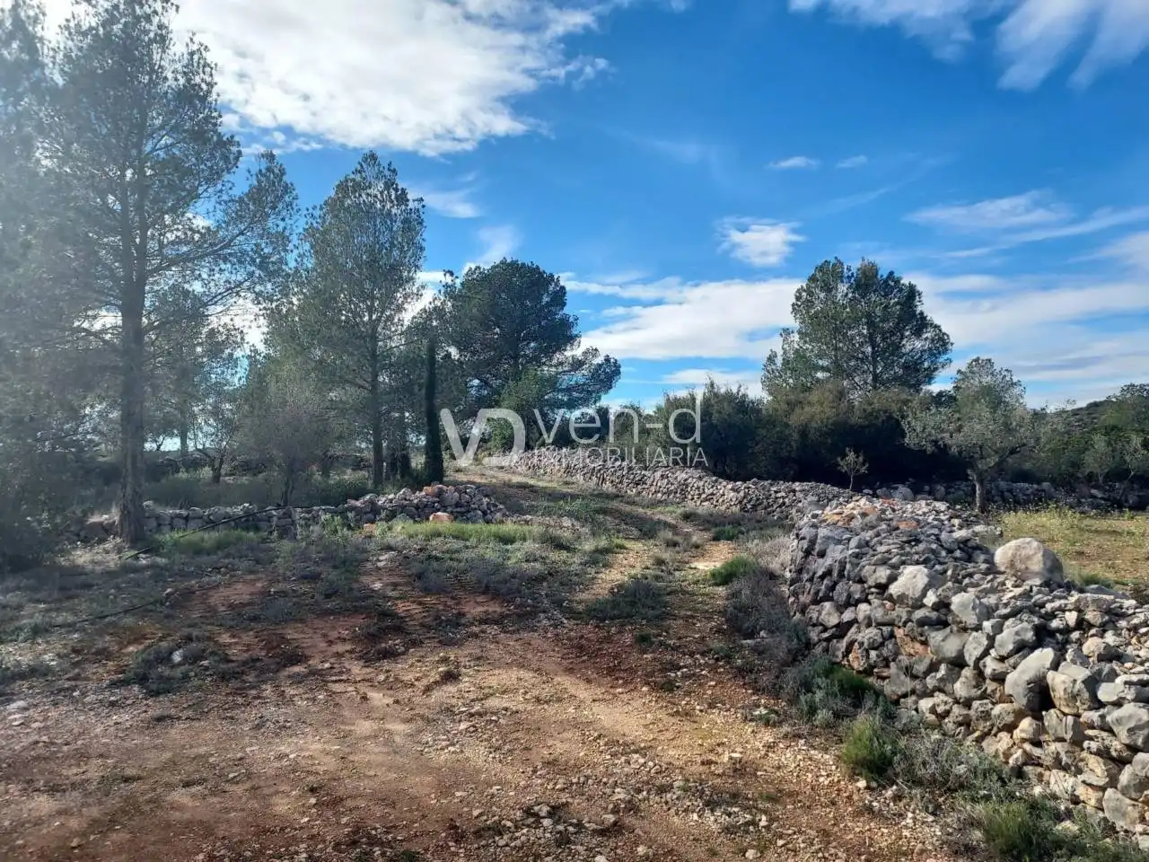 Terreno en venta en Enguera