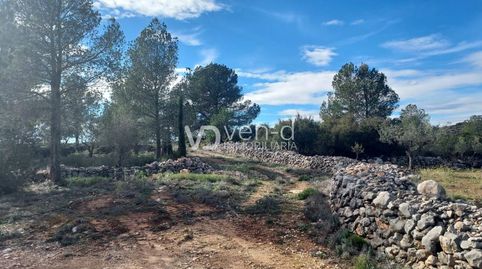Foto 4 von Grundstücke zum Verkauf in Poligono 21, 207, Enguera, Valencia