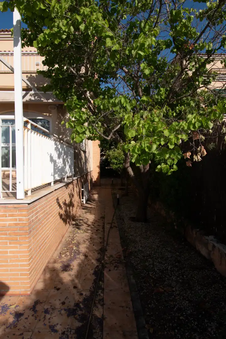 Vista exterior de Casa o chalet de alquiler en Murcia con Aire acondicionado, Calefacción y Jardín privado