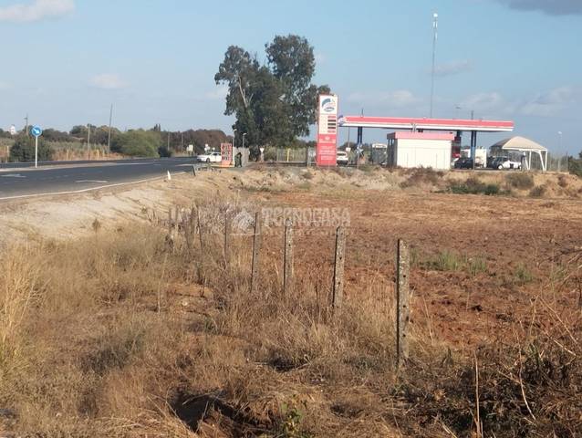 Finca rústica en Venta en Aznalcázar