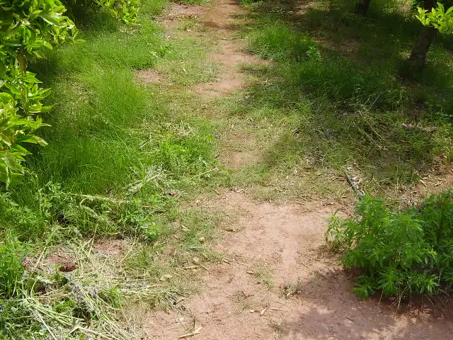 Residential land for sale in Calle Rafael Balaguer 75, imagen 2