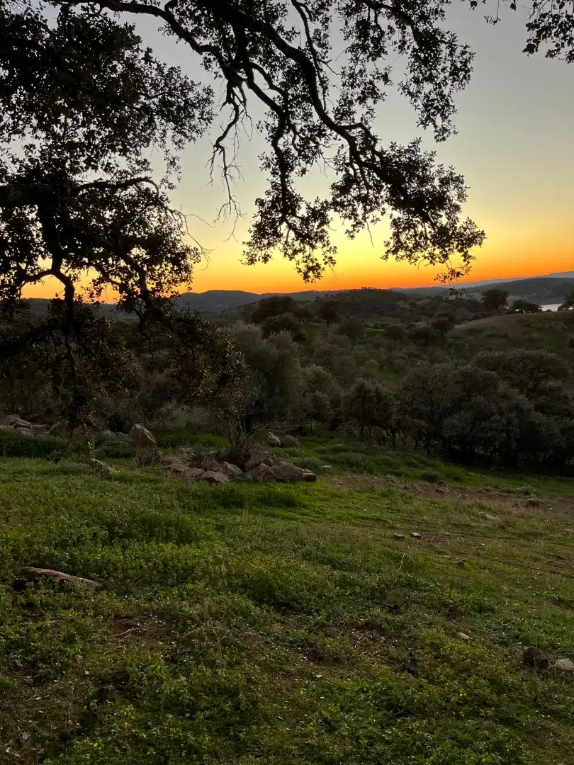 Terreno en venta en Vilches