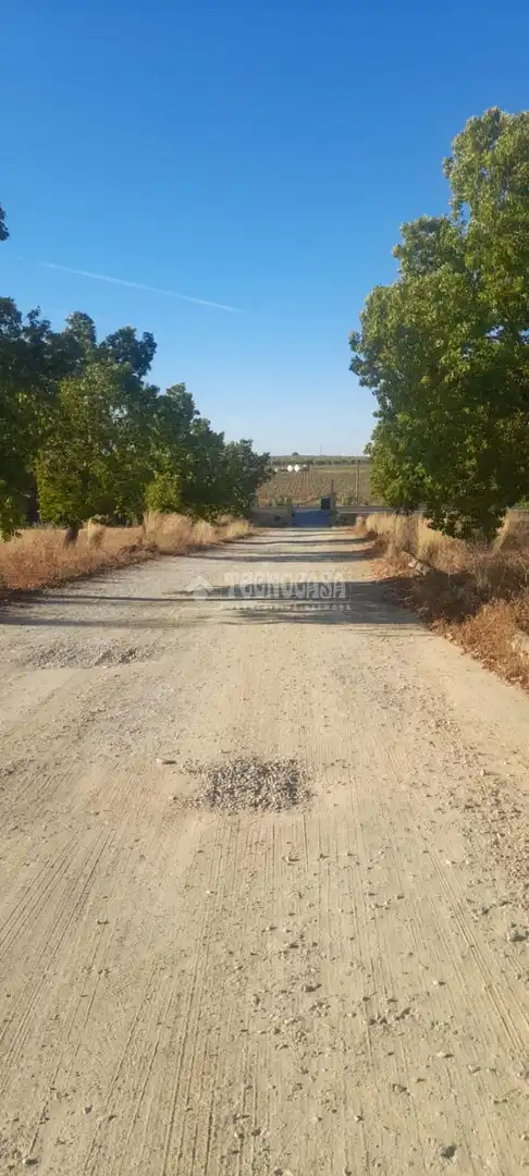 Finca rústica en venta en Aznalcázar