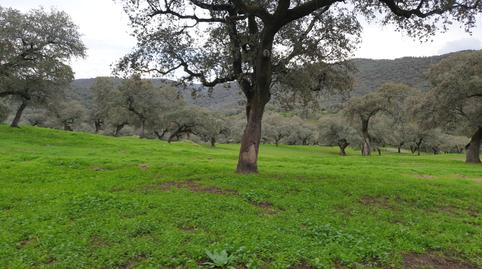 Photo 3 of Land for sale in Parque María Luisa -Giralda Sur, Sevilla