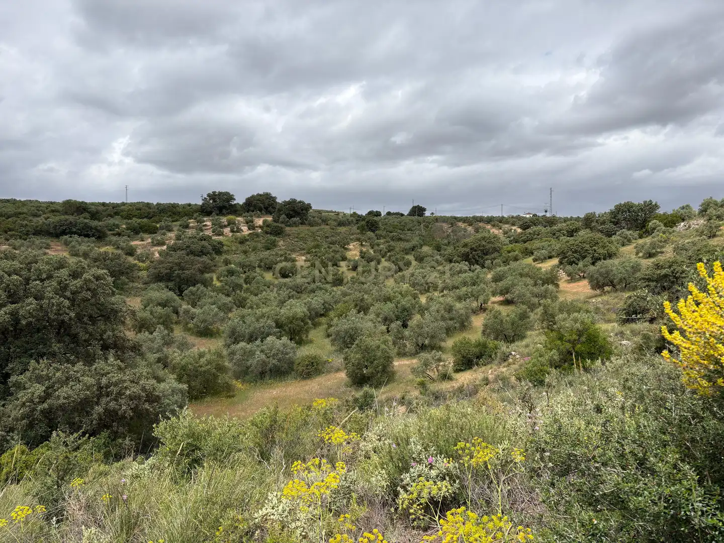 Lands and plots for sale in AR URB ANTEQUERA GOLF 122 122, imagen 38