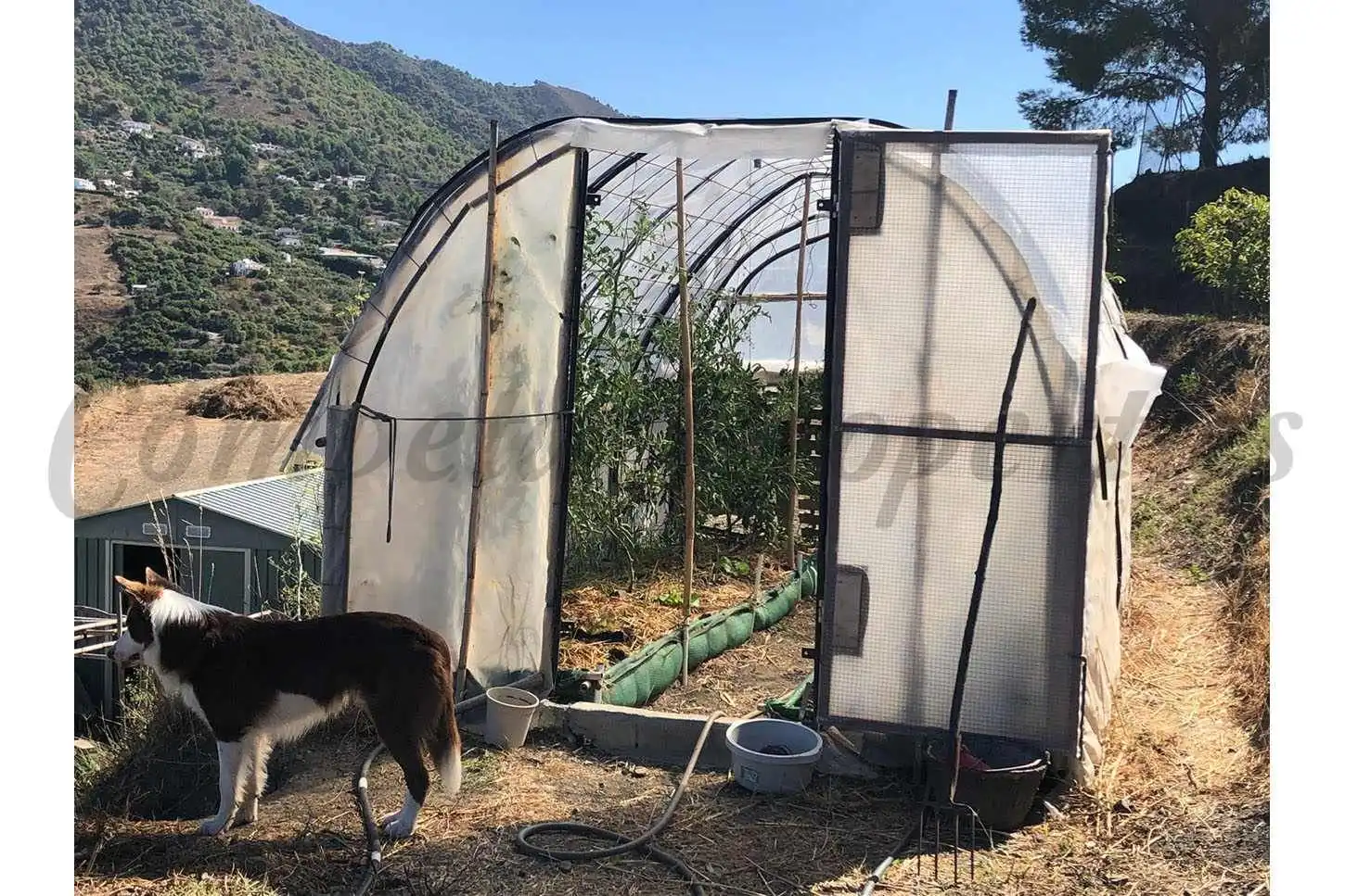 Terreno rústico en venta en Frigiliana, imagen 23