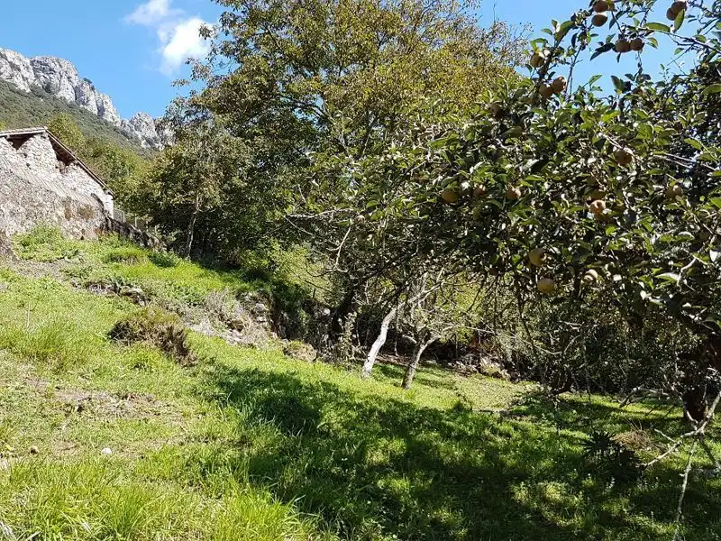 Houses for sale in Trescares, Peñamellera Alta