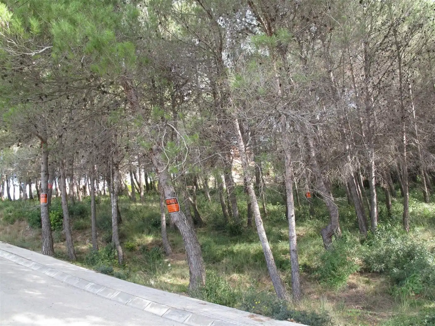 Terreny residencial en venda a Olesa de Bonesvalls, imagen 4