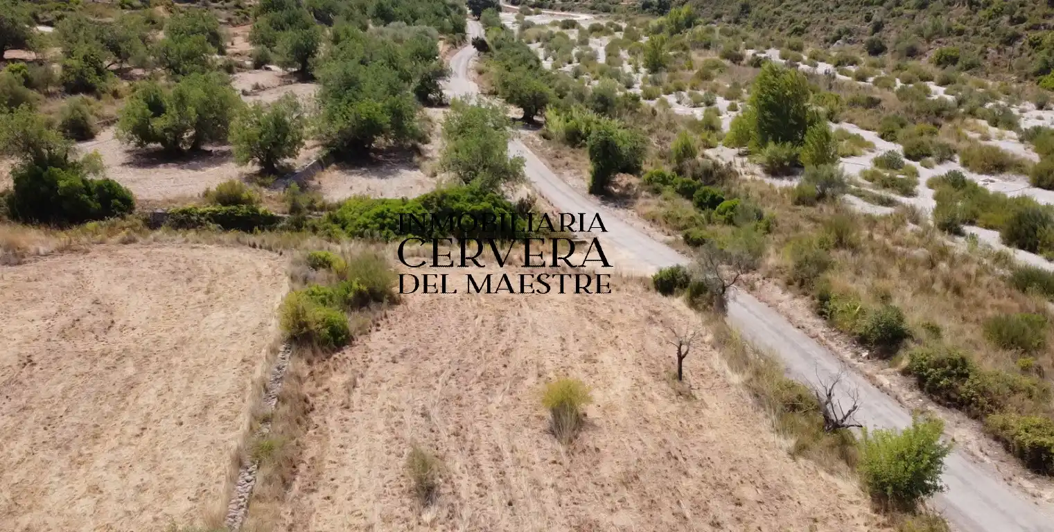 Terreno rustico in vendita a Cervera del Maestre, imagen 10
