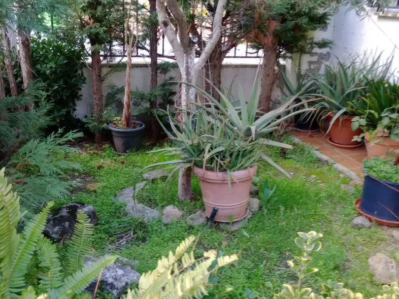 Casa con jardín en venta en C/. LA PINTA 14, imagen 47