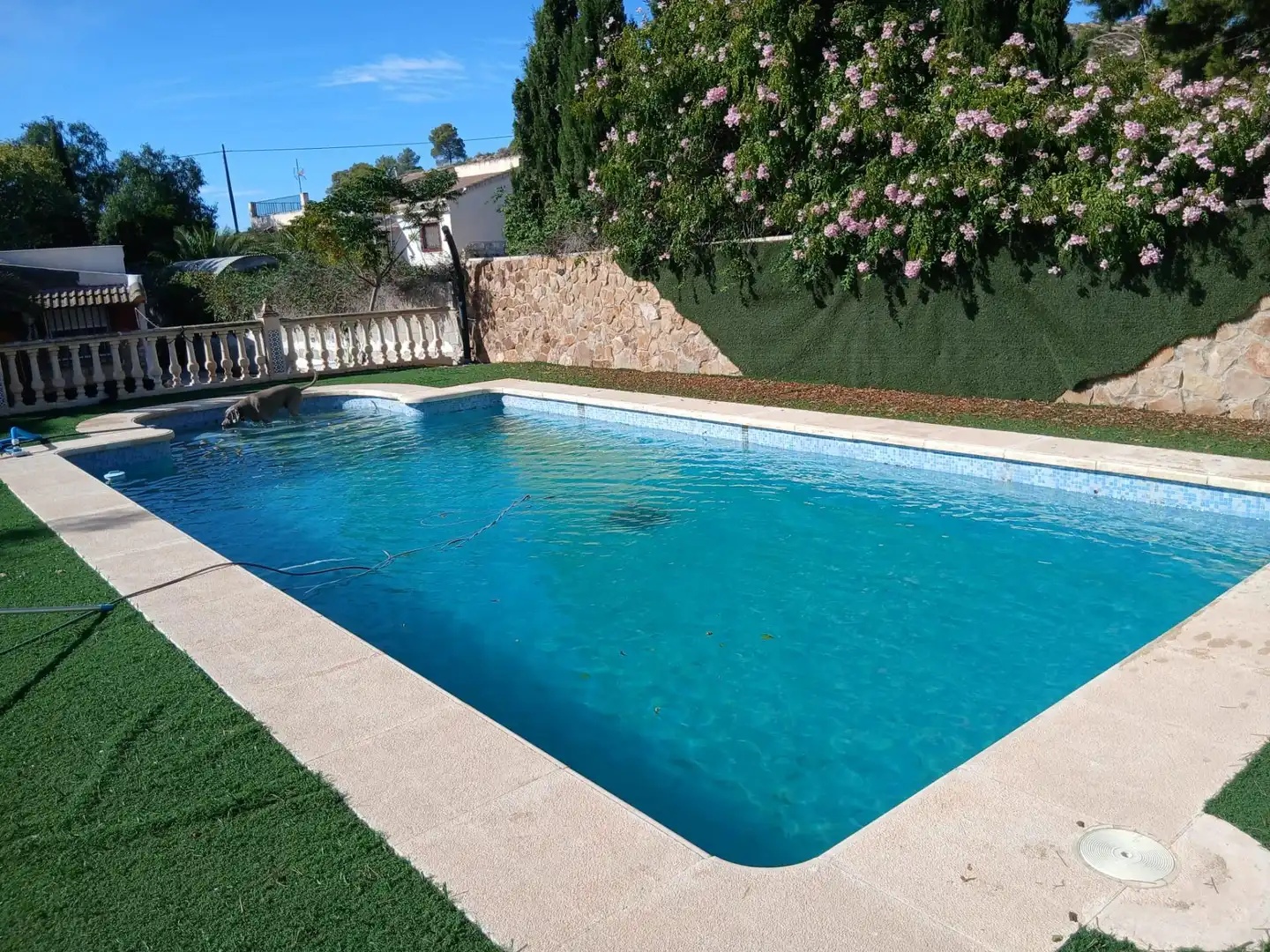 Detached house with pool for sale in Petrer, imagen 2