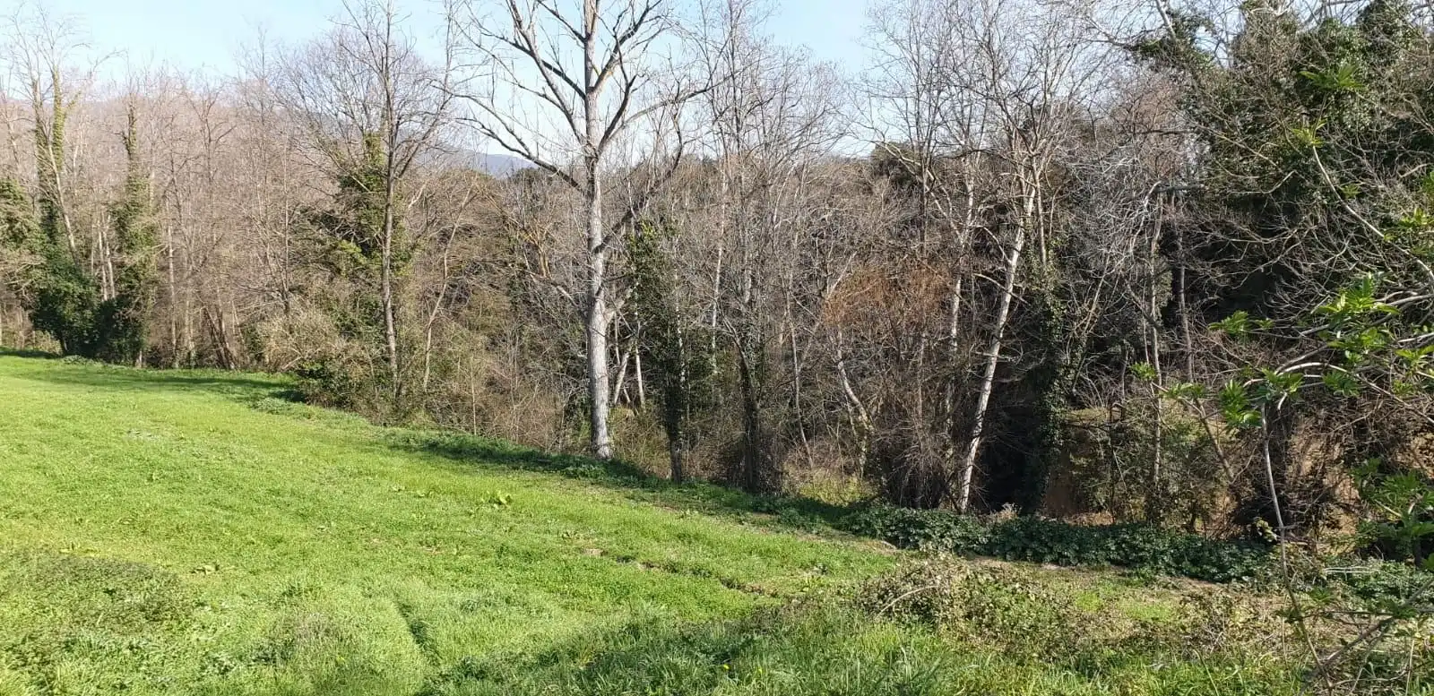 Finca rústica en venta en Sant Celoni