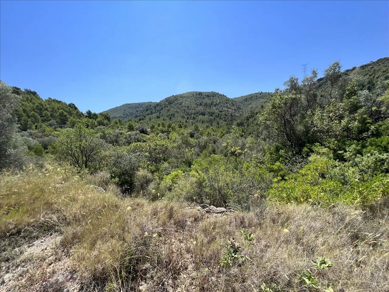 Residential land for sale in Proc. Simplificado, imagen 5