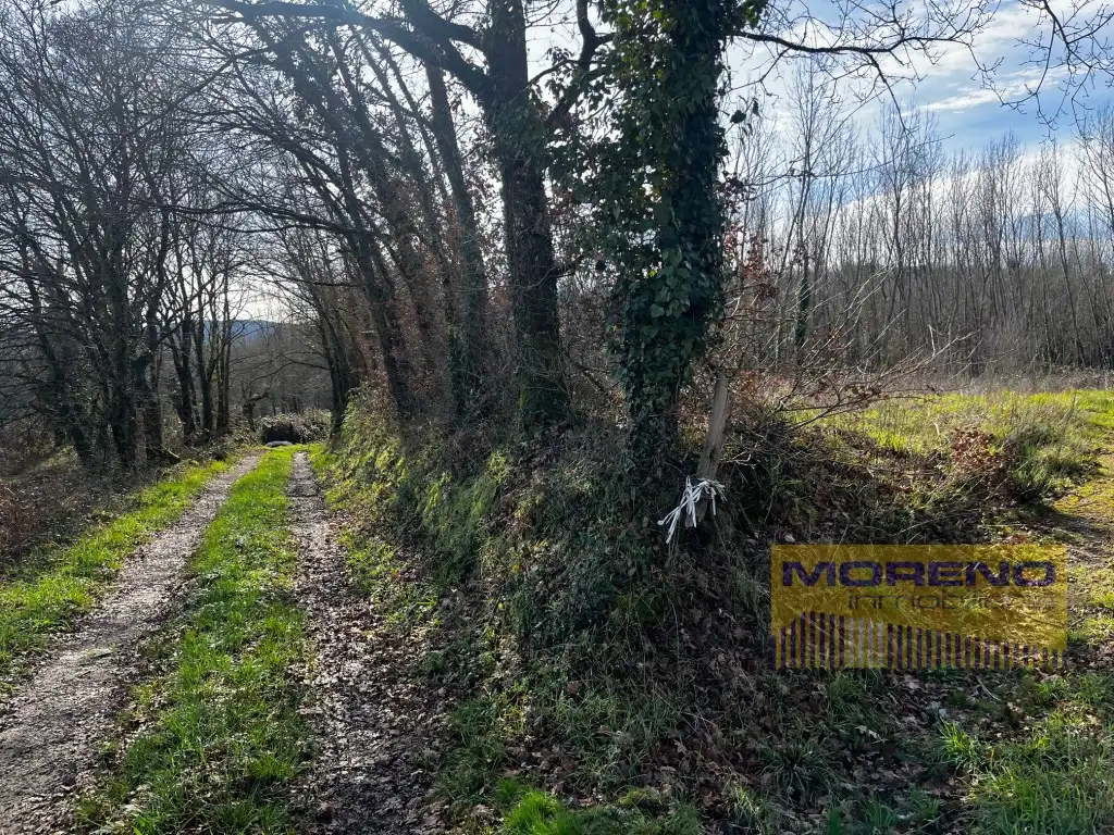 Terreni e lotti in vendita a Poligono 20 Paraje 4946 Horta Abaixo, imagen 6