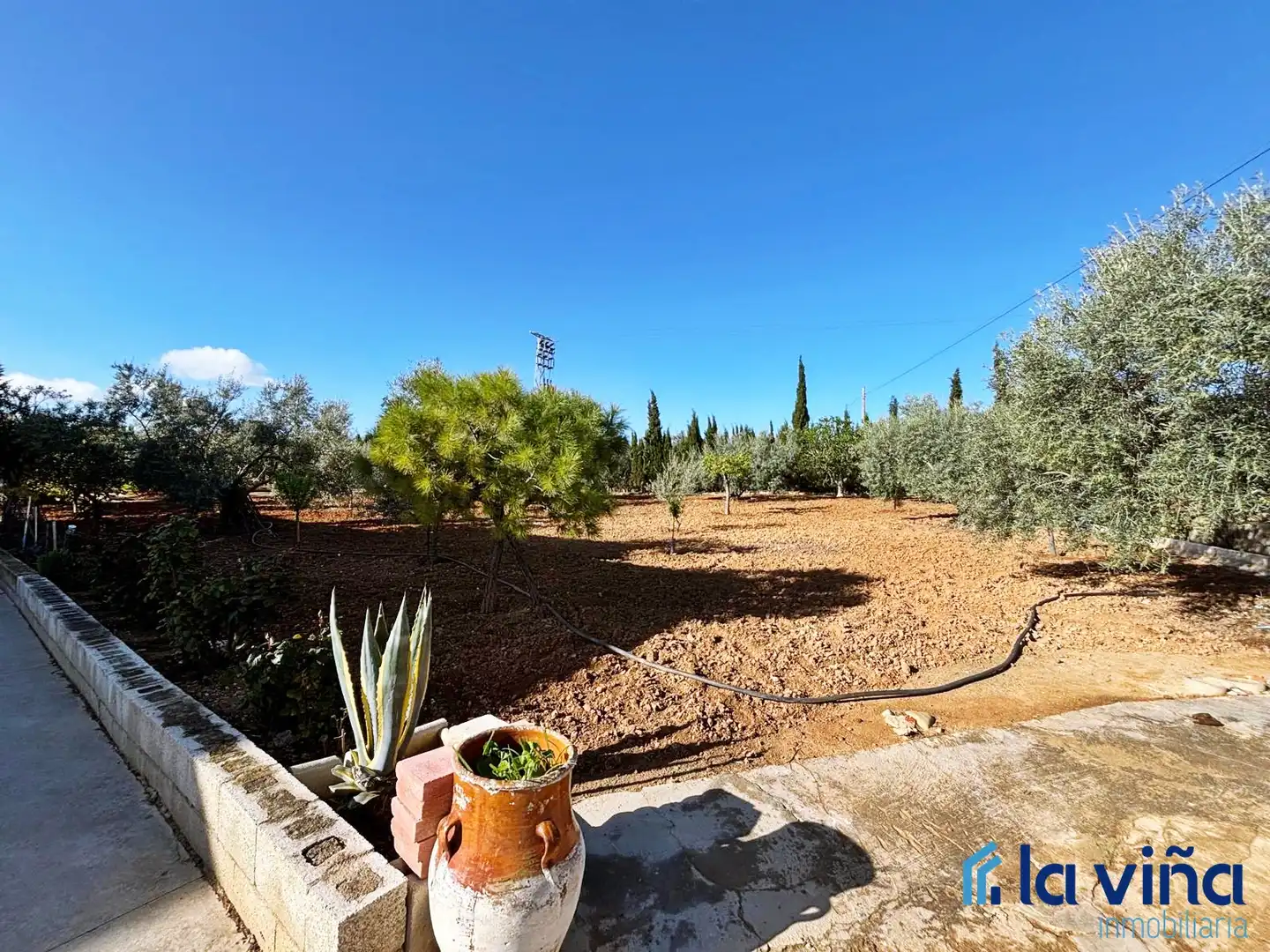 Jardín de Casa o chalet en venta en Casariche con Aire acondicionado, Calefacción y Jardín privado