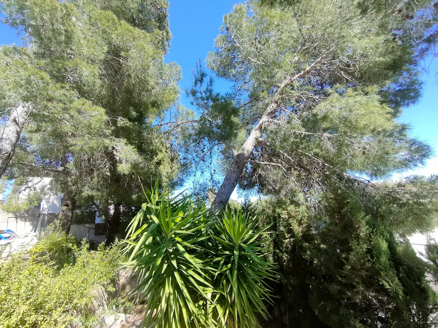 Villa avec piscine à vendre à Turís, imagen 55