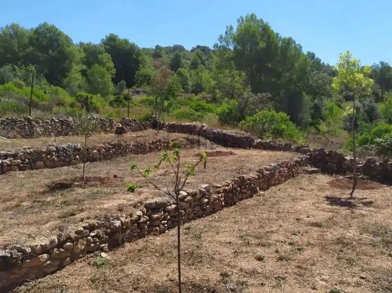 Rustikales Grundstück zum Verkauf in Cami Pedrera 4, imagen 14