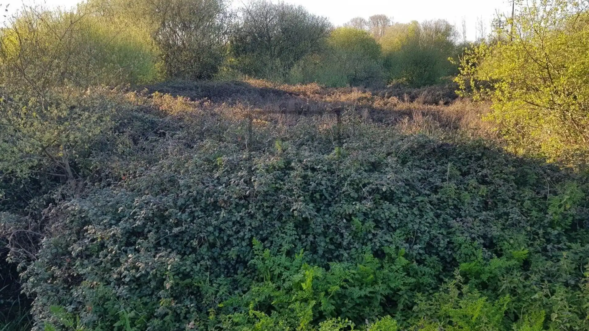 Terreno en venta en Valdoviño