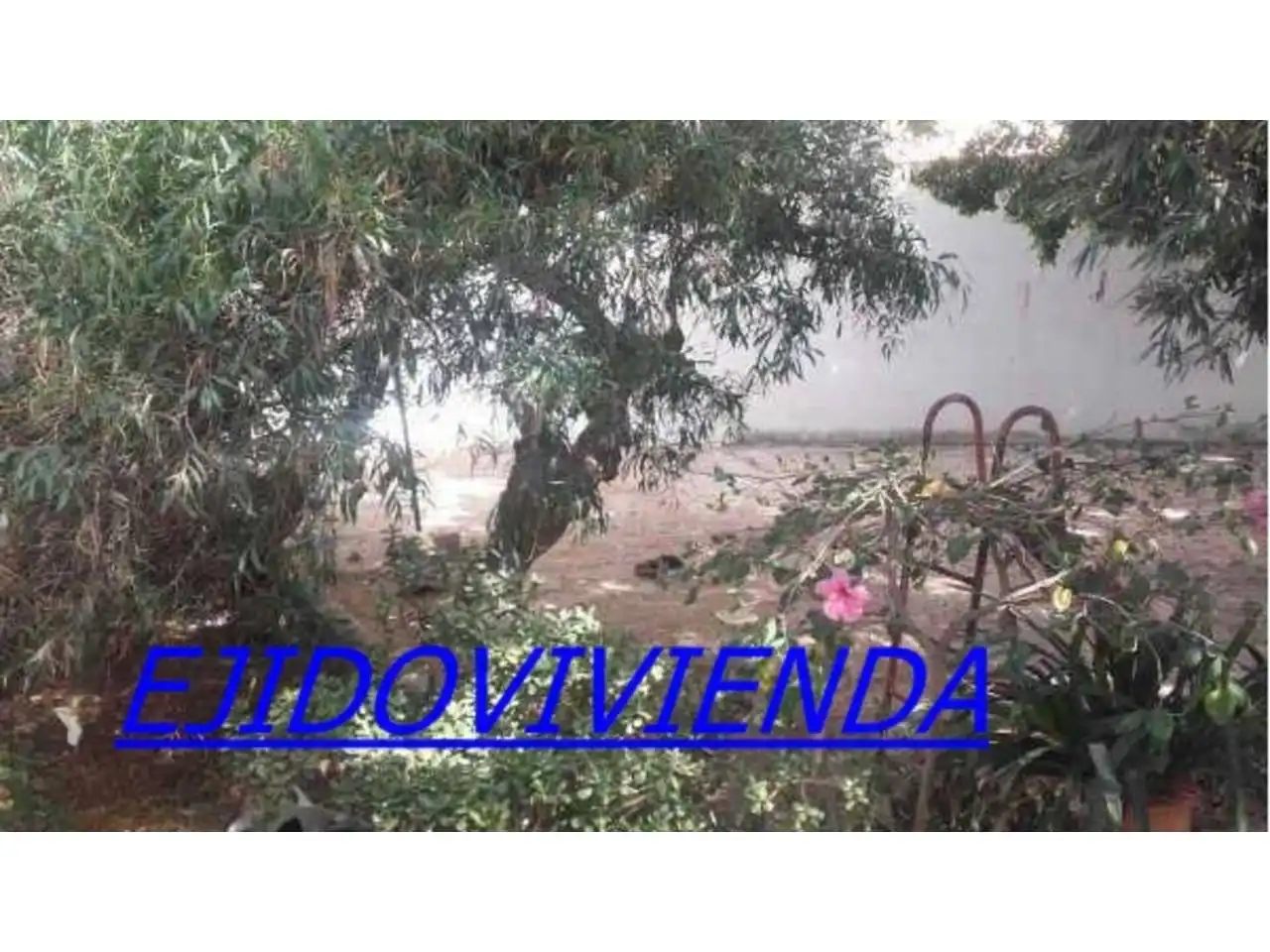 Lands and plots for sale in El Ejido Ciudad, imagen 3