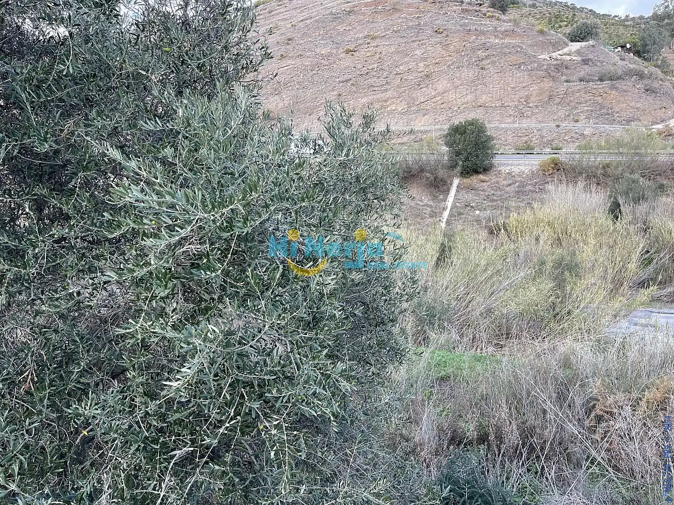 Terreni e lotti in vendita a Centro, imagen 9