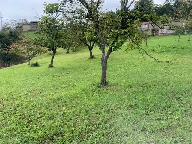 Terrenys i solars en venda a Rural, imagen 12