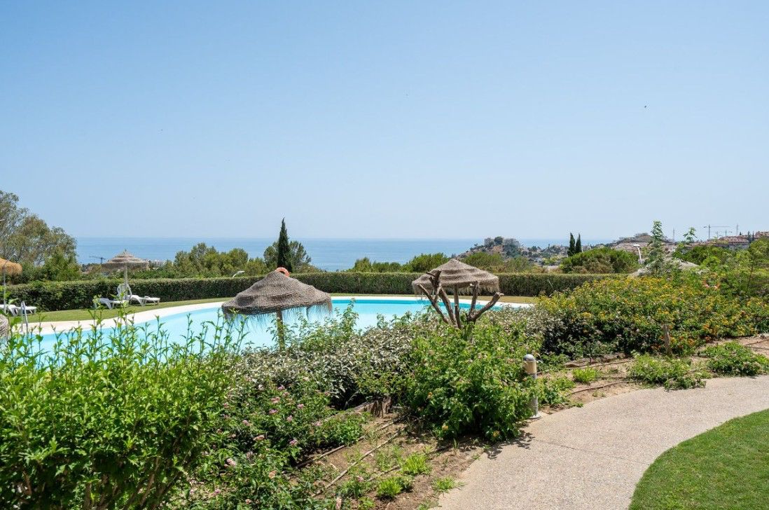 Swimming pool of Flat to rent in Benalmádena  with Terrace, Furnished and Community pool