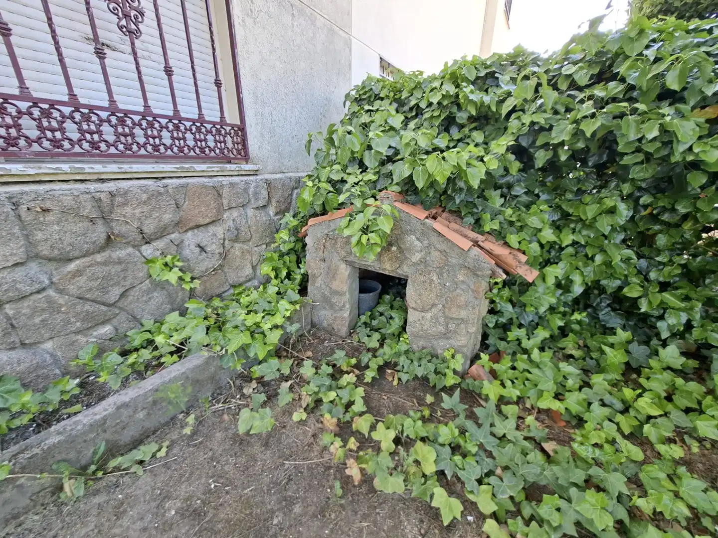 Garden of Houses for sale in Plasencia  with Air Conditioner