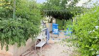 Jardí de Finca rústica en venda en Molina de Segura amb Jardí privat