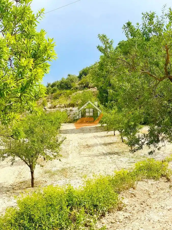 Lands and plots for sale in Vélez-Blanco, imagen 3