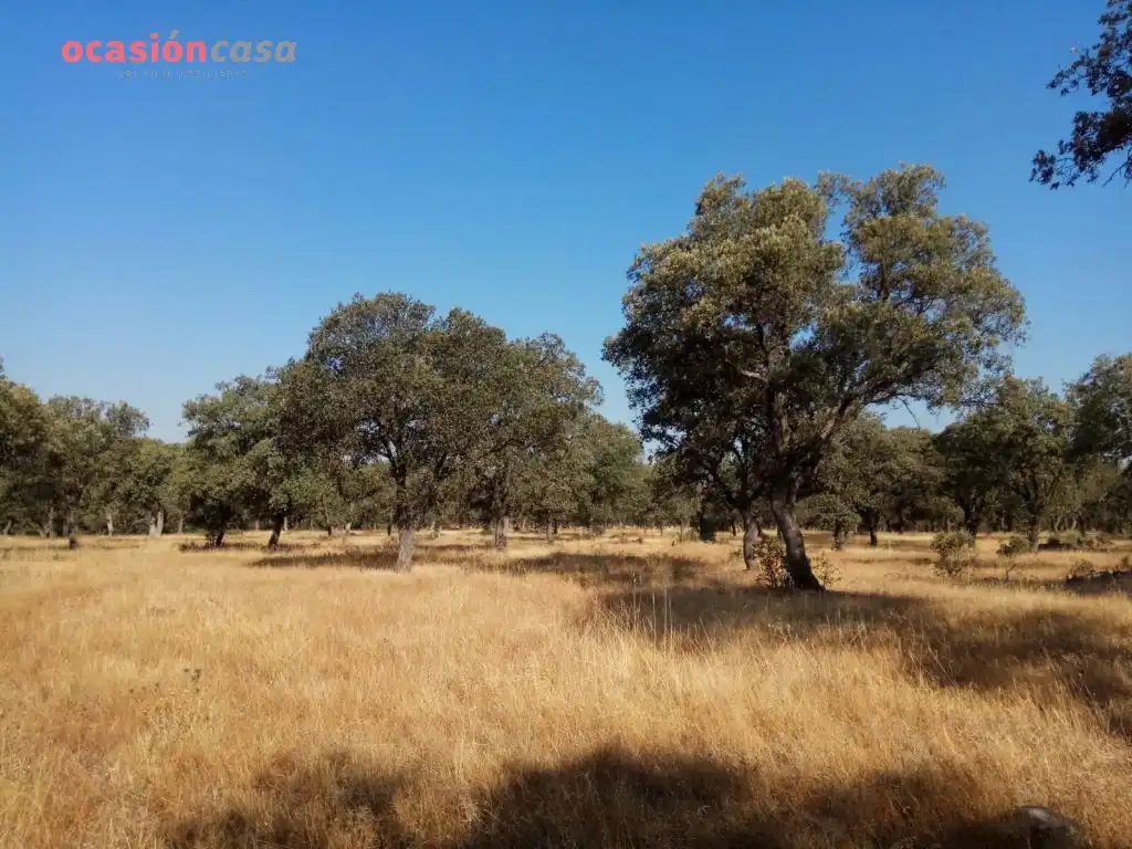 Country homes for sale in Torrecampo