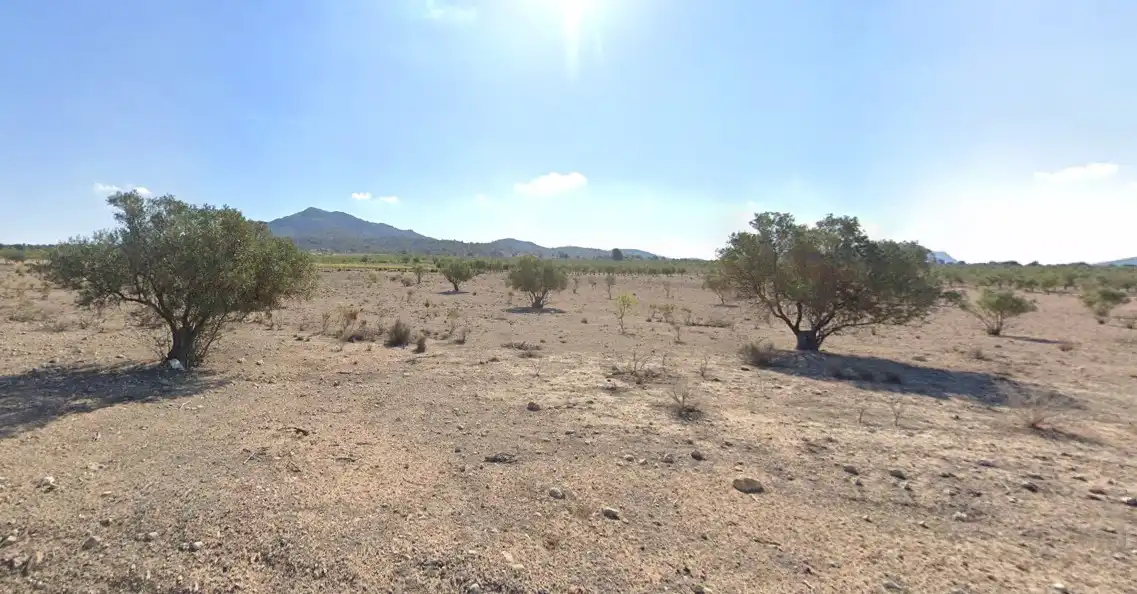 Rustikales Grundstück zum Verkauf in Partida de Villena / Partida Corralet - Casa Soler, imagen 7