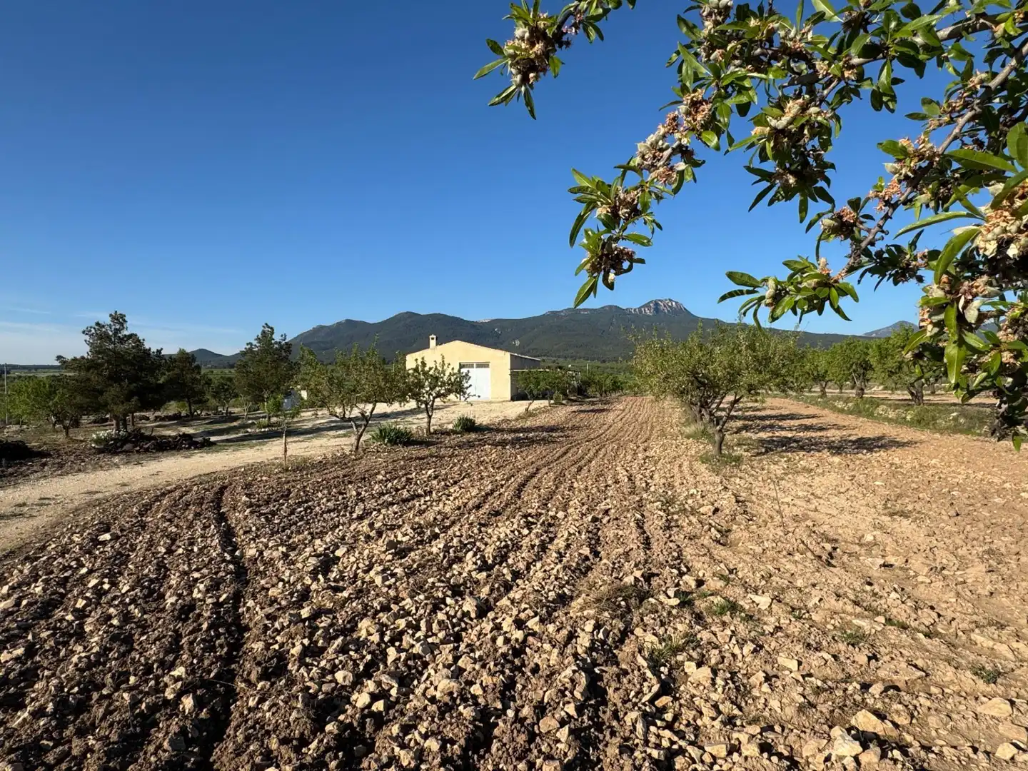 Casa con jardín en venta en Moratalla, imagen 7