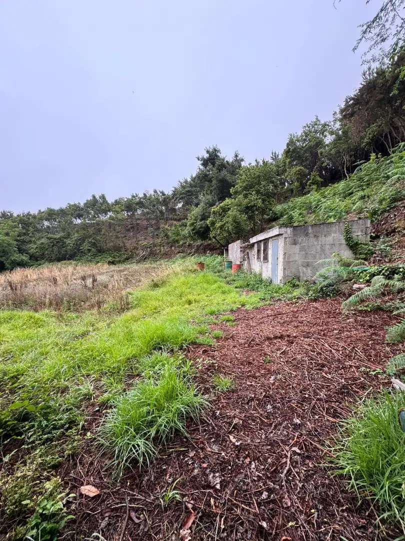 Finca rústica en venta en Los Realejos