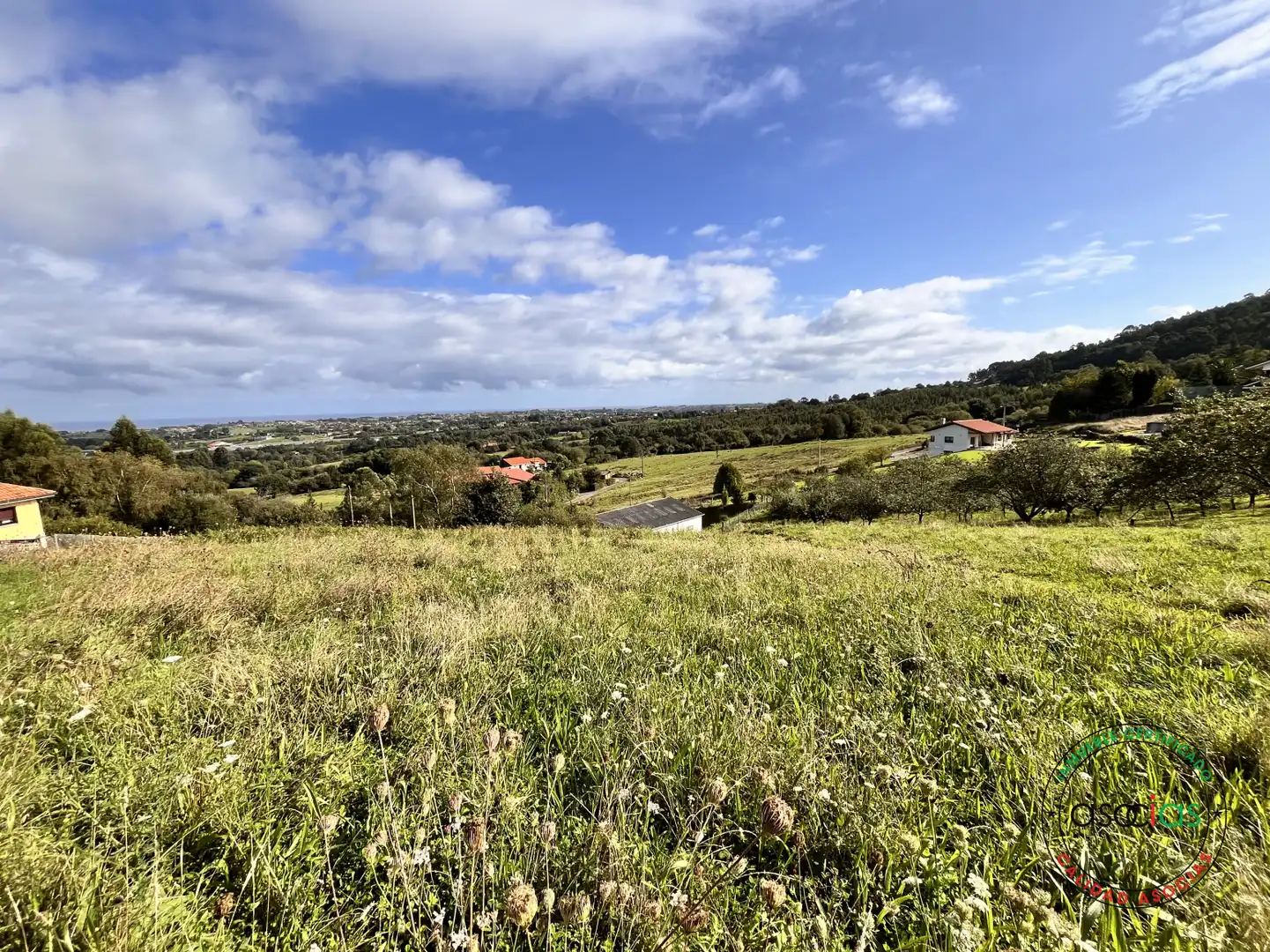 Terreny residencial en venda a Peón - Coto de la Castañera, Curviellu S/N, imagen 29